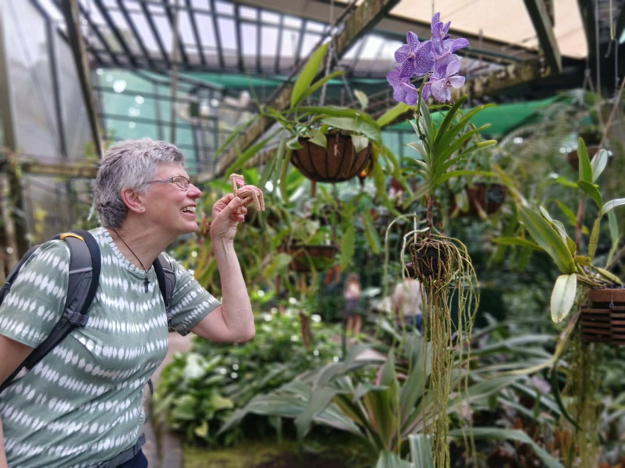 Chairlie looks at plants