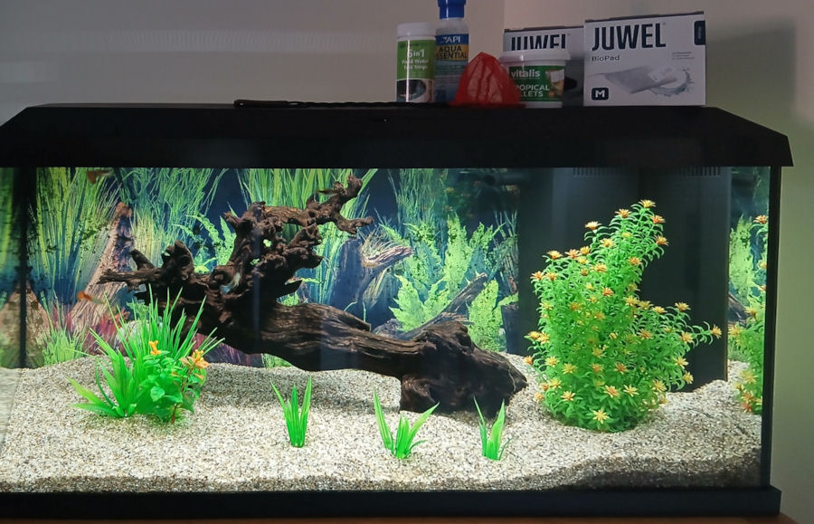 Fishtank