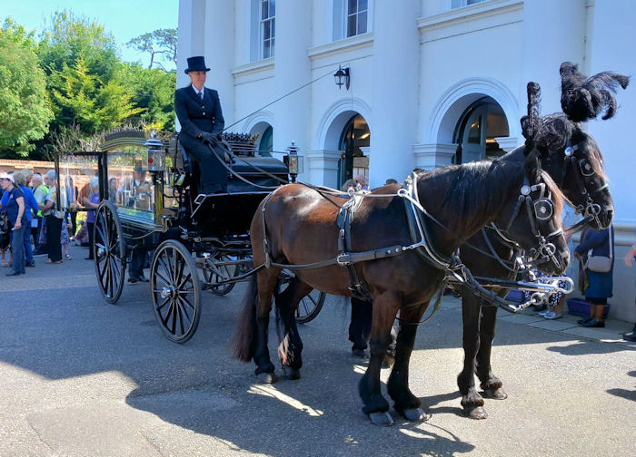 Horse=drawn hearse